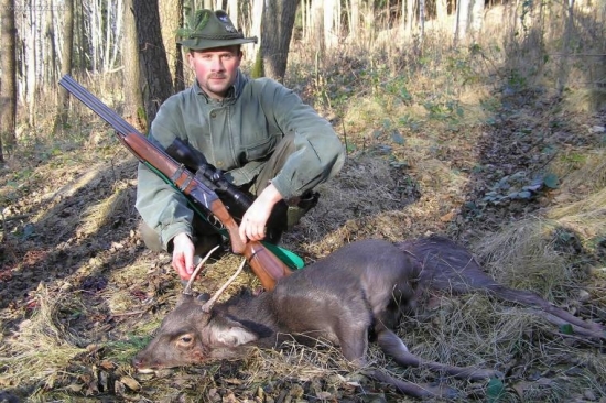 ulovený jelen Sika