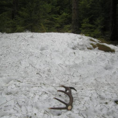 překvapení na cestě