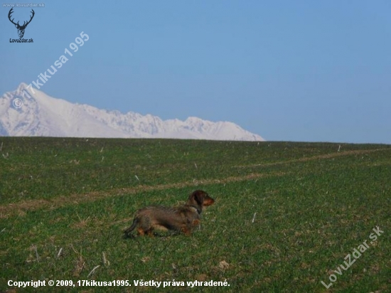 Icha zo zeleného domu (v pozadí Kriváň )