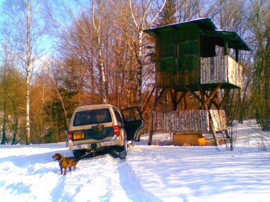 Prikrmovanie pri posede