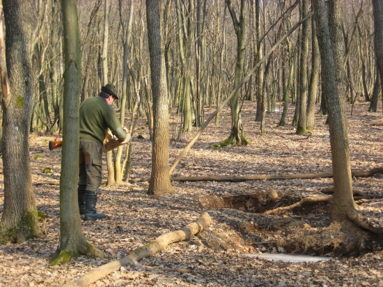 Dezinfekcia bahnísk soľou a vápencom