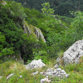 Nad Zádielskou dolinou