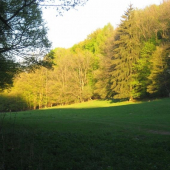 Miglinc západ slnka