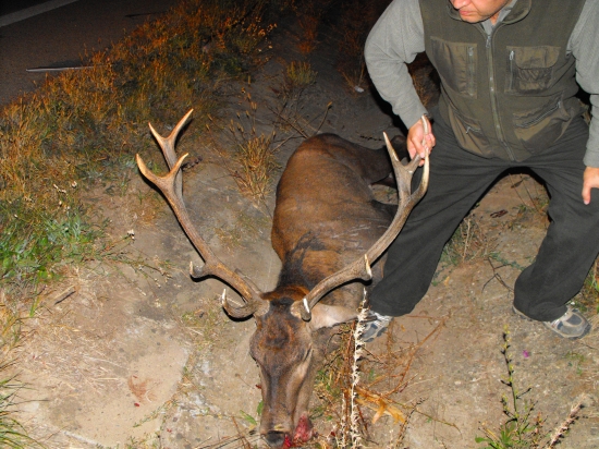 Zrazený osobným autom