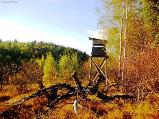 Posed pod Greču vrchom