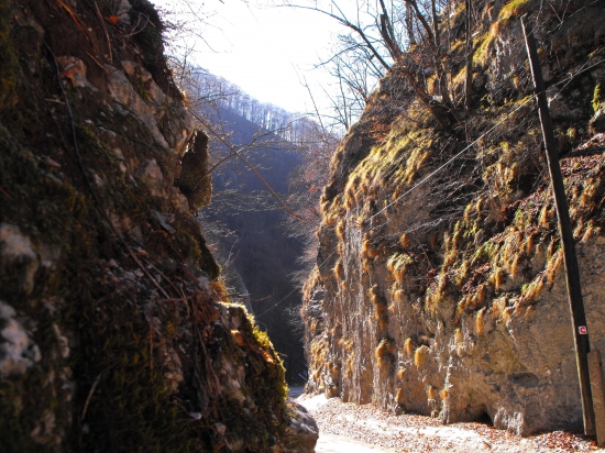 Cestou domov z revíru