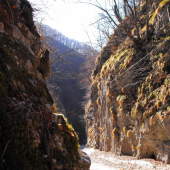 Cestou domov z revíru