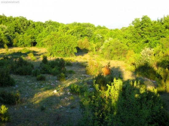 Pri štyrke