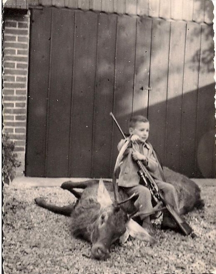 Na maminom jeleňovi