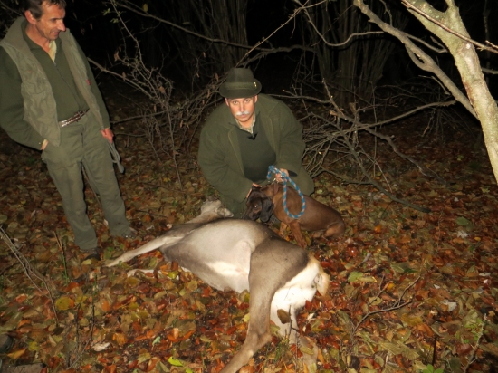 Príprava farbiara na skúšky