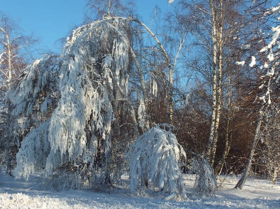 Keď čaruje mrázik