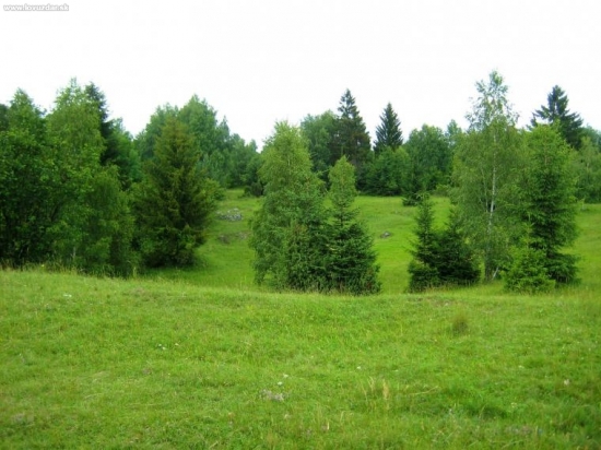 Po dažďoch