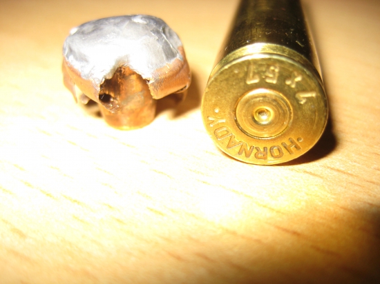 K foto Dnes ráno 7x57 Hornady SST