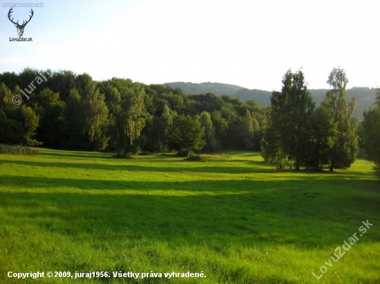 Ráno