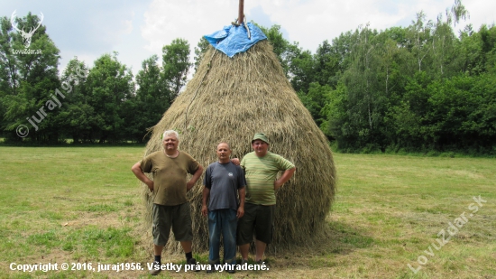 Príprava sena pre zver