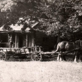 Bratov jeleň 9/1983