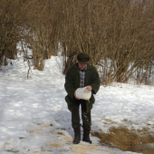 Prikrmovanie