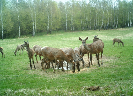 Solisko začiatkom apríla