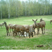 Solisko začiatkom apríla
