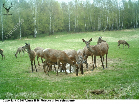 Solisko začiatkom apríla