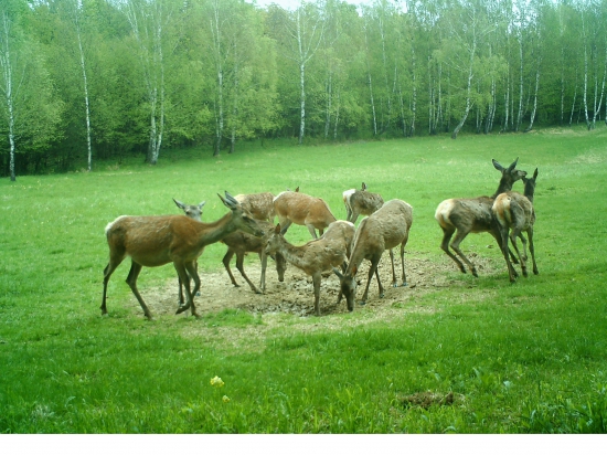 Na solisku v máji