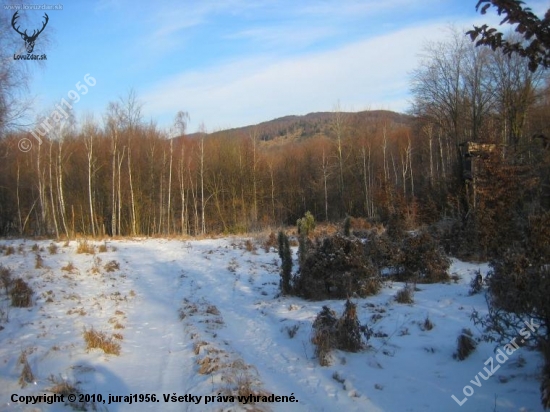 Horská poľana