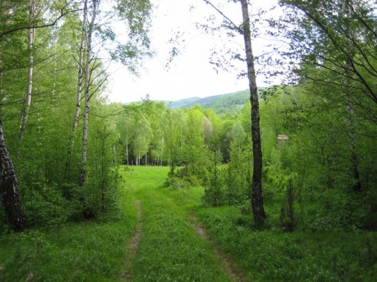 Horská poľana