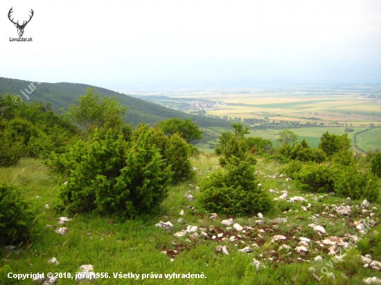 Panoráma