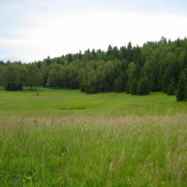 Aj toho roku bude seno