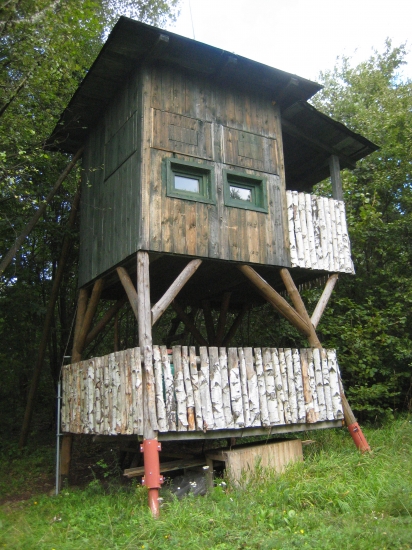 Posed pripravený na ruju