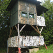 Posed pripravený na ruju