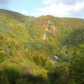 Naša poľovnícka chata