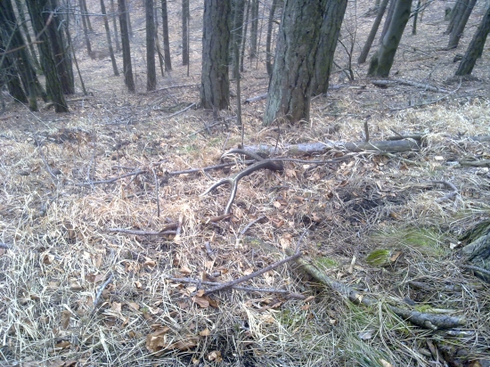 takto si ležal rok..