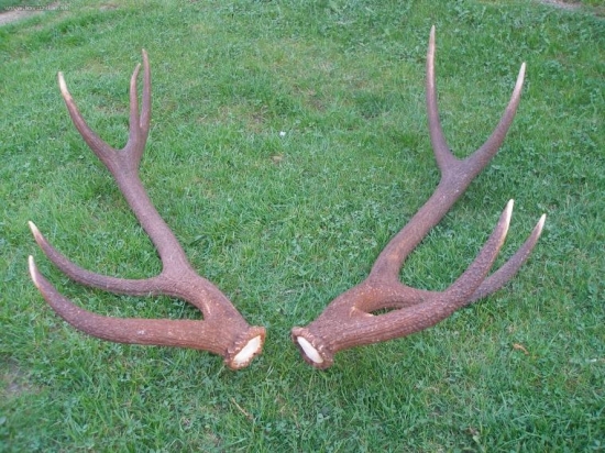 z minuleho tyždňa v kope 172,4 bodov