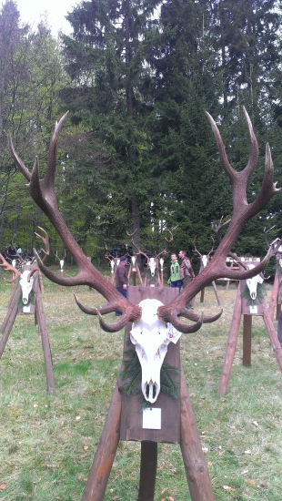 kraľ z vystavy na Kyslinkach