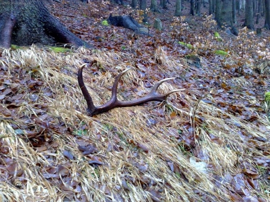 Takto na mňa čakal 174,74 bodov
