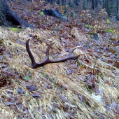 Takto na mňa čakal 174,74 bodov