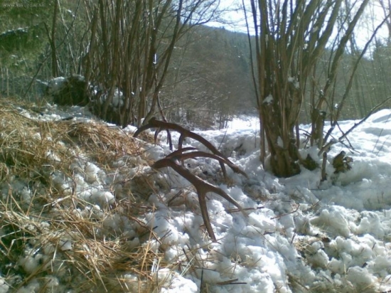 Pekny pohlad 170,25bodov