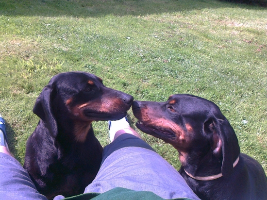 CHS z Návratnej, Bora & Bella