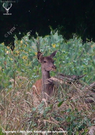35880