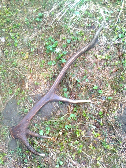 dnes sa mi znovu pošťastilo