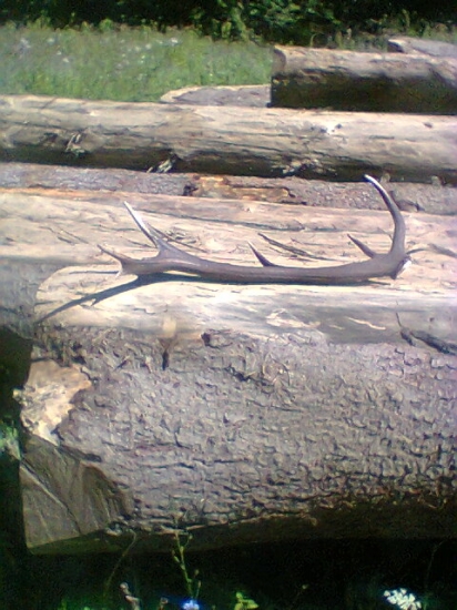 včera sa poštastilo vrobote