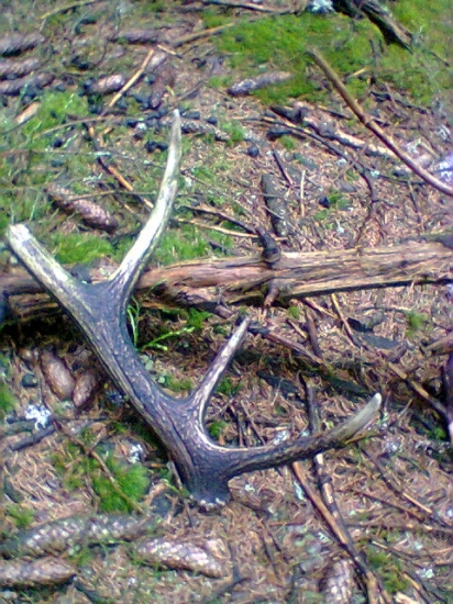 z dnešných potuliek