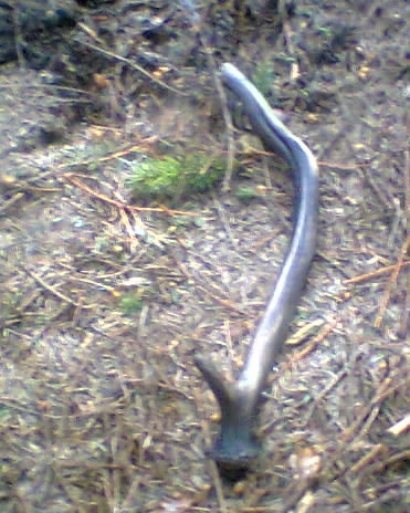 dnešný kapitálny(: