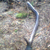 dnešný kapitálny(: