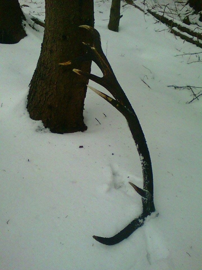 dnešny rok poležal