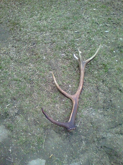 včera sa mi eštše jeden podaril