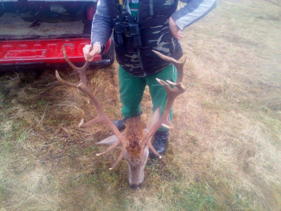 jari sa už nedožil