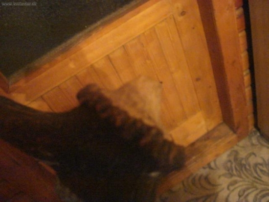 to asi bolelo