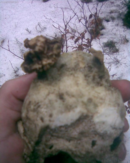 škoda,že som ho nenašiel skôr